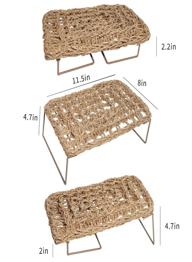 AGGQQA Bearded Dragon Hammock Reptile Tank Accessories Decor Basking Platform Metal Legs Bed Habitat for Lizard Leopard Gecko Snake Hermit Crab and Frog (Rectangle) - Image 4